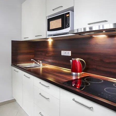 Kopecna With Parking Apartment Brno