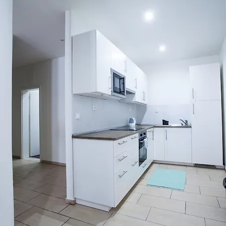 Apartment Kopecna With Parking Brno