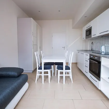 Apartment Kopecna With Parking Brno