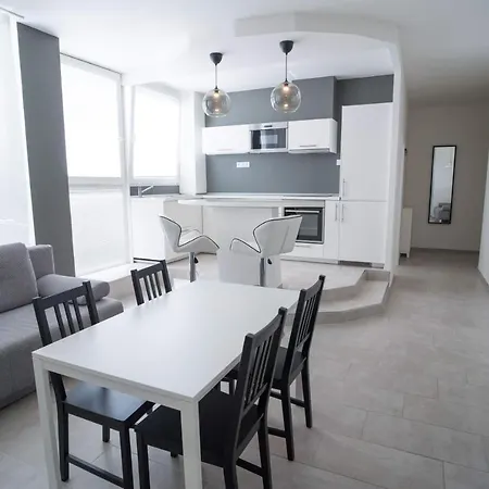Apartment Kopecna With Parking Brno